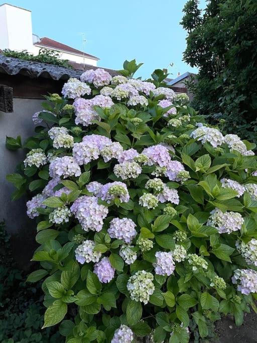 La Casa Del Papa - Maison Spacieuse Avec Jardin Dole Exterior foto